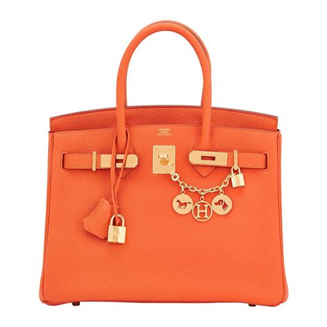 hermes birkin feu